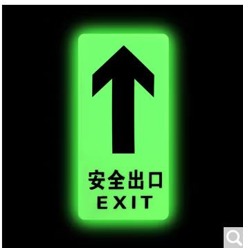 谋福 795 消防标识指示牌荧光地贴夜光自发光地滑贴警示疏散标志牌 (地贴 全夜光直行)