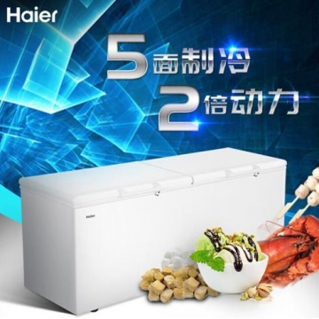 海尔（Haier）冰柜商用大容量829升 冷藏冷冻转换双门超低温冷柜 电子温控深冷速冻保鲜柜BC/BD-829HEZ DQ.1854